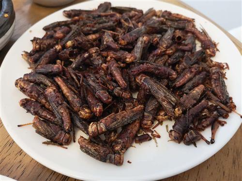 蟑螂嘛——遛给小香蕉,非洲怨妇,北京土著,吃鸡慈悲豪割,沪a,张婷ceo