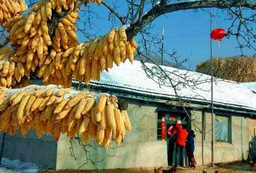 东北振兴战略_博客_东方财富网
