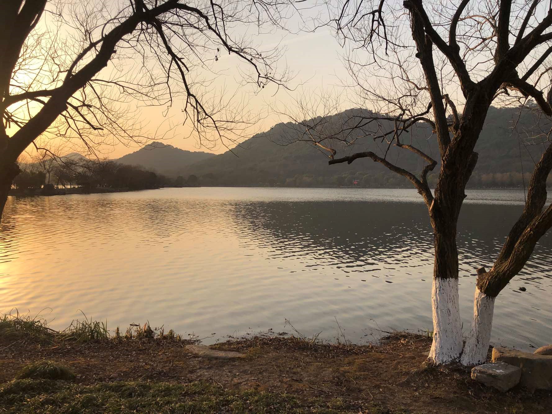 奥泰生物(688606)_股票价格_行情_走势图—东方财富网