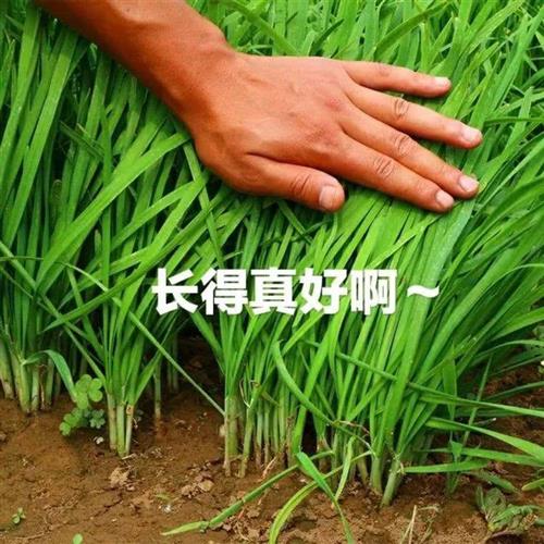 不能带有幻想炒股