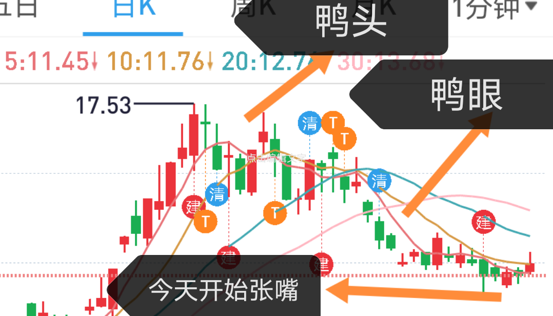 老鸭张嘴,形态已形成,月底回家盖房!
