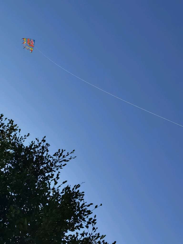 海鸥展翅高飞,和我今天的心情一样愉悦.带上小孩风筝飞起来