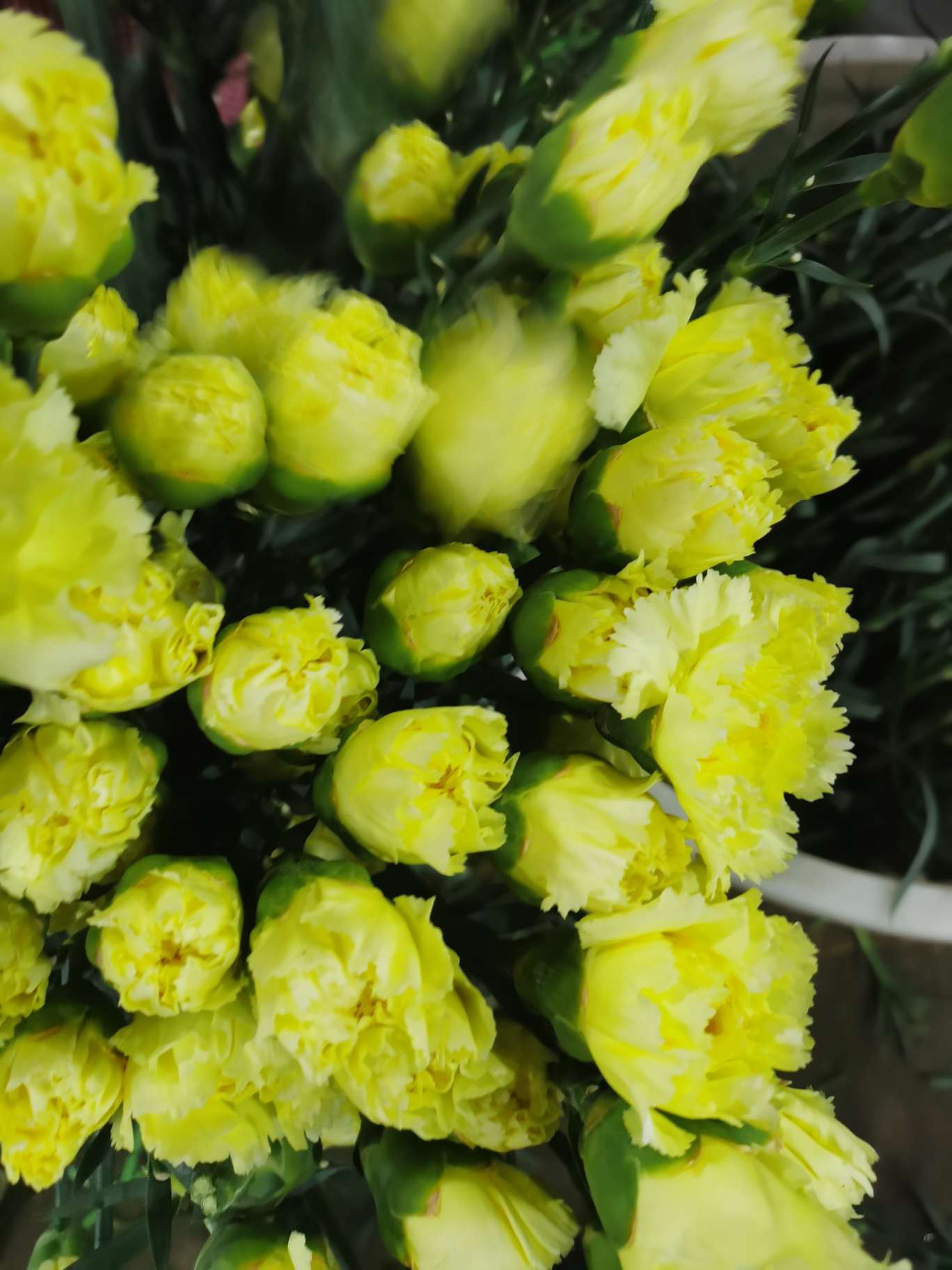 38000_道琼斯(zsgjdjia)股吧_东方财富网股吧