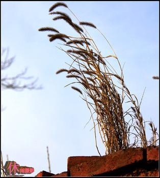 明天加速拉升放心持有好公司不要看眼前时间放上5年