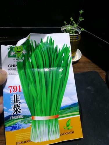 一切皆有定数1周前网上买了点韭菜种子红红791三个字告诉我这是命运