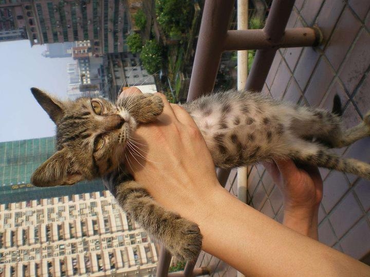 害人不浅,捏死你!