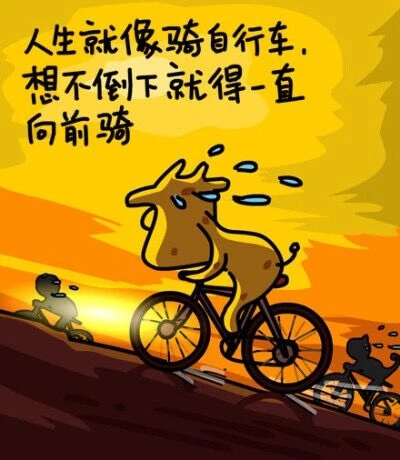 人生和投资就像骑自行车,用力蹬才会前进,没用力还在前进,说明走的是