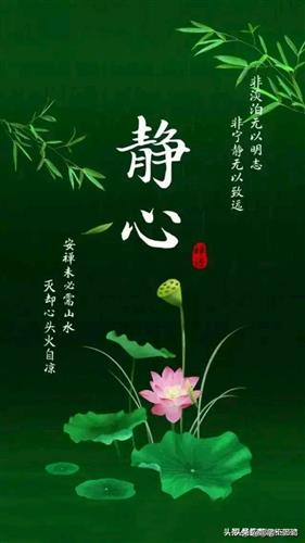 多漂亮的草莓啊真因为它红的发紫才引路人激动不已尝一颗静静心