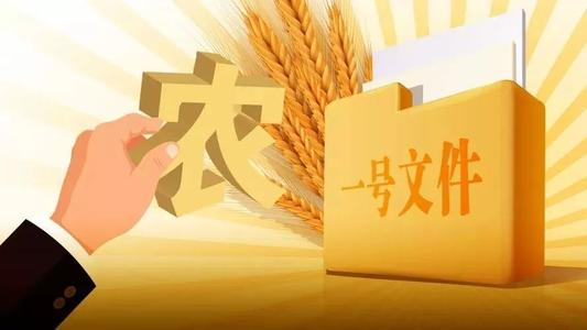 湖南金证重磅看中央一号文件如何聚焦三农