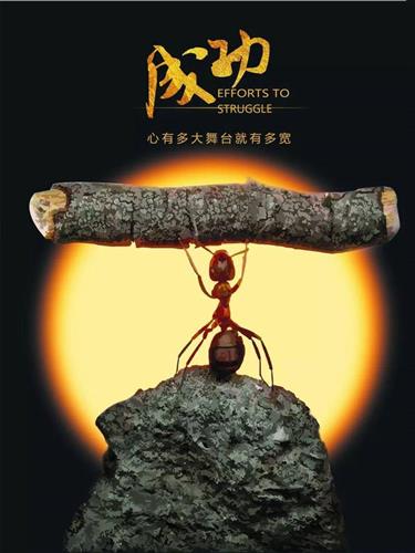 人生就像钟表,可以回到起点,却已不是昨天!