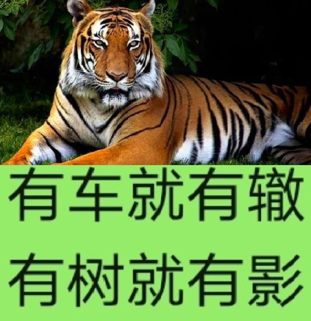 股市的魔力就在于让人觉得明天肯定能涨我们每一位股