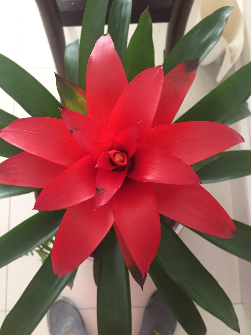 [图片]_冠捷科技(000727)股吧_东方财富网股吧