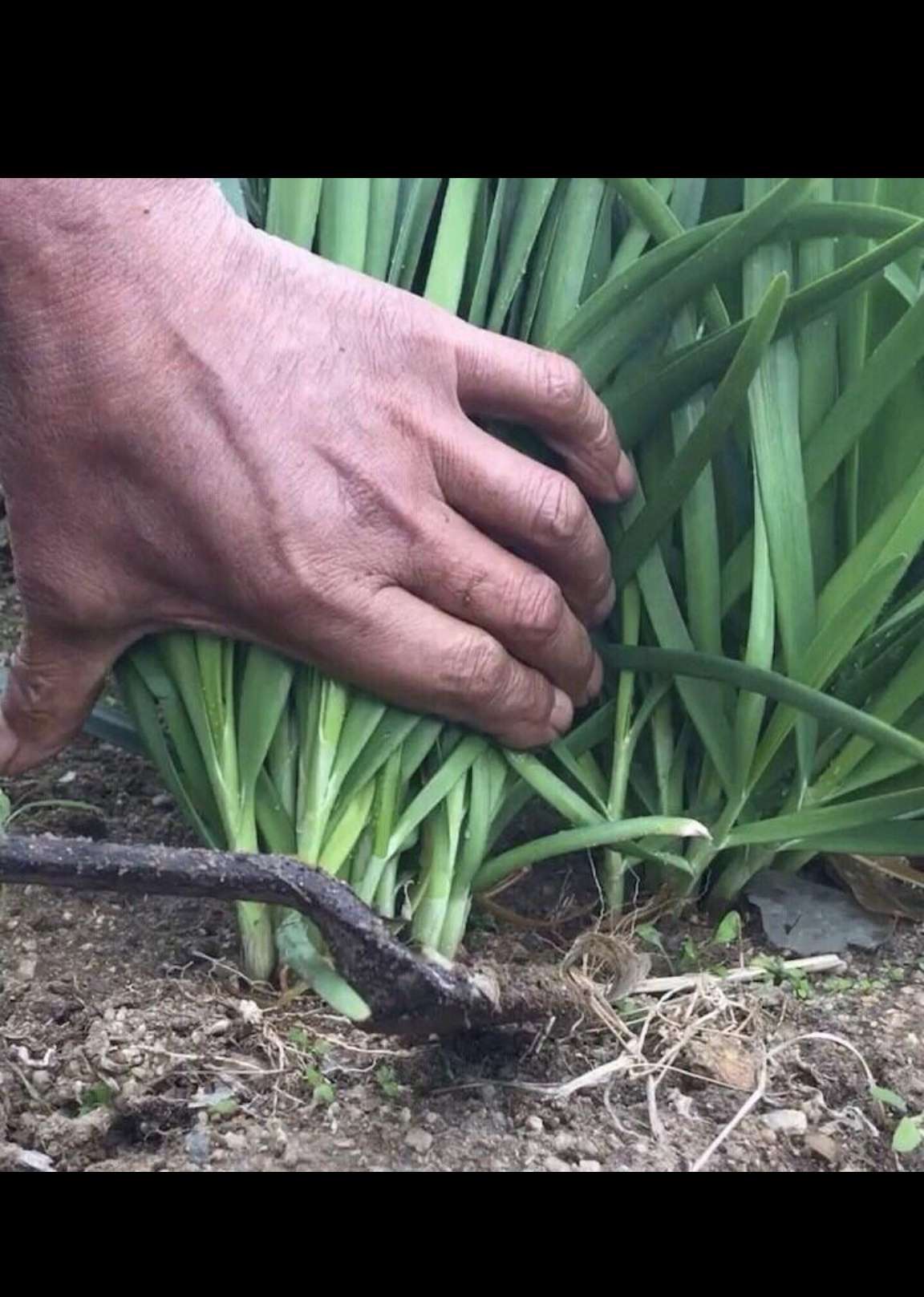 抄底?亏死你们这些大小韭菜