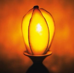 团结起来电话动起来易见股份公司电话087165650056云南工投电话0