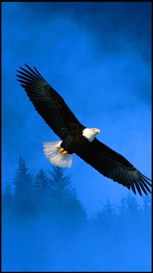 卖了这垃圾吧,风飞匣300026[加油][加油][加油][买入][买入]