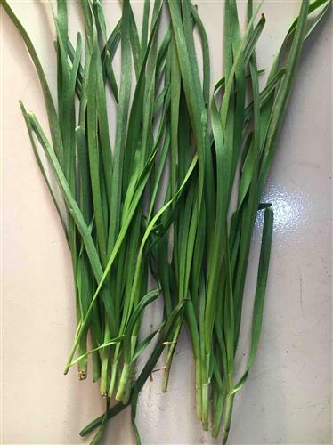 子弹打光了跑出来一定给你做一名接盘的韭菜