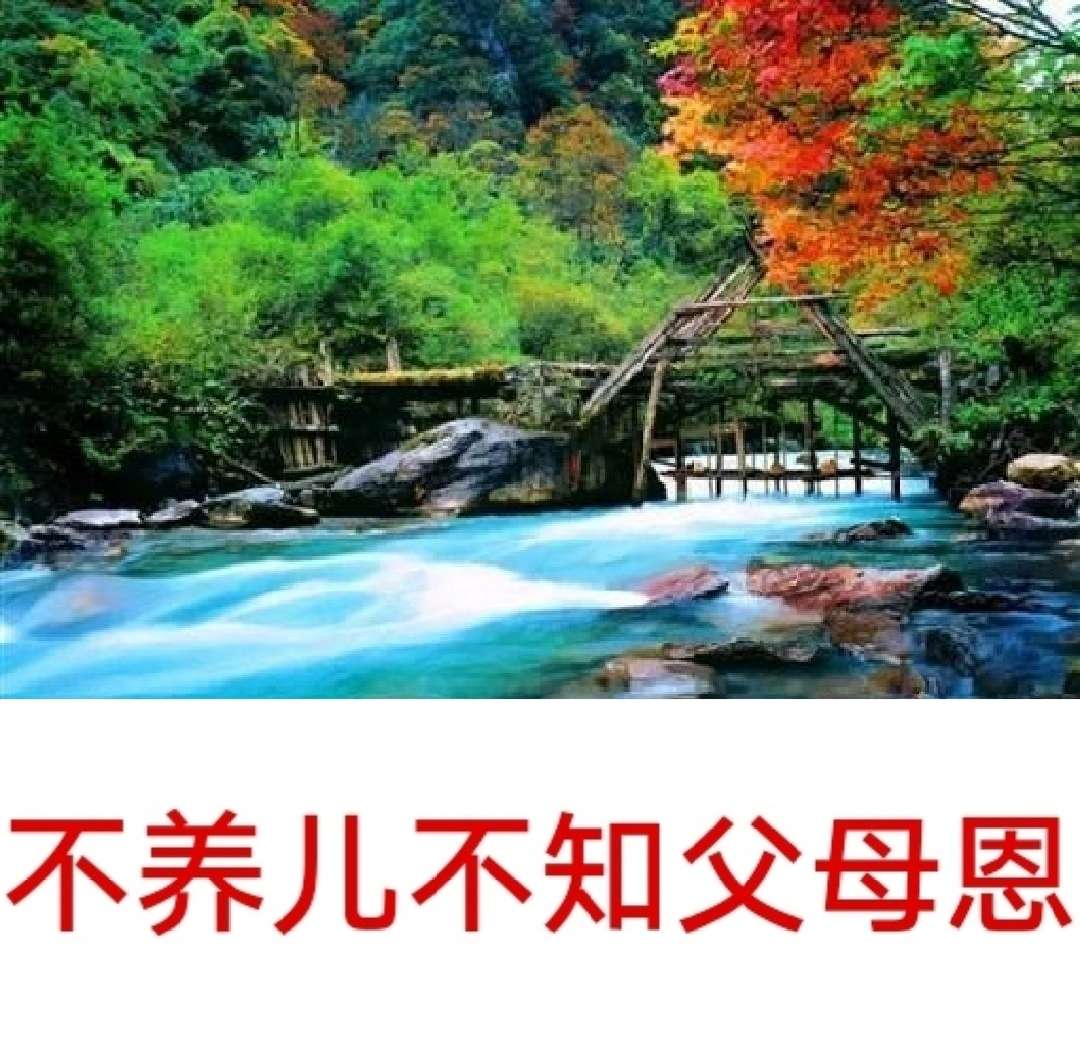 职业炒手的实战策略只有两点顺势回撤转折确定对待行情不预测只跟随