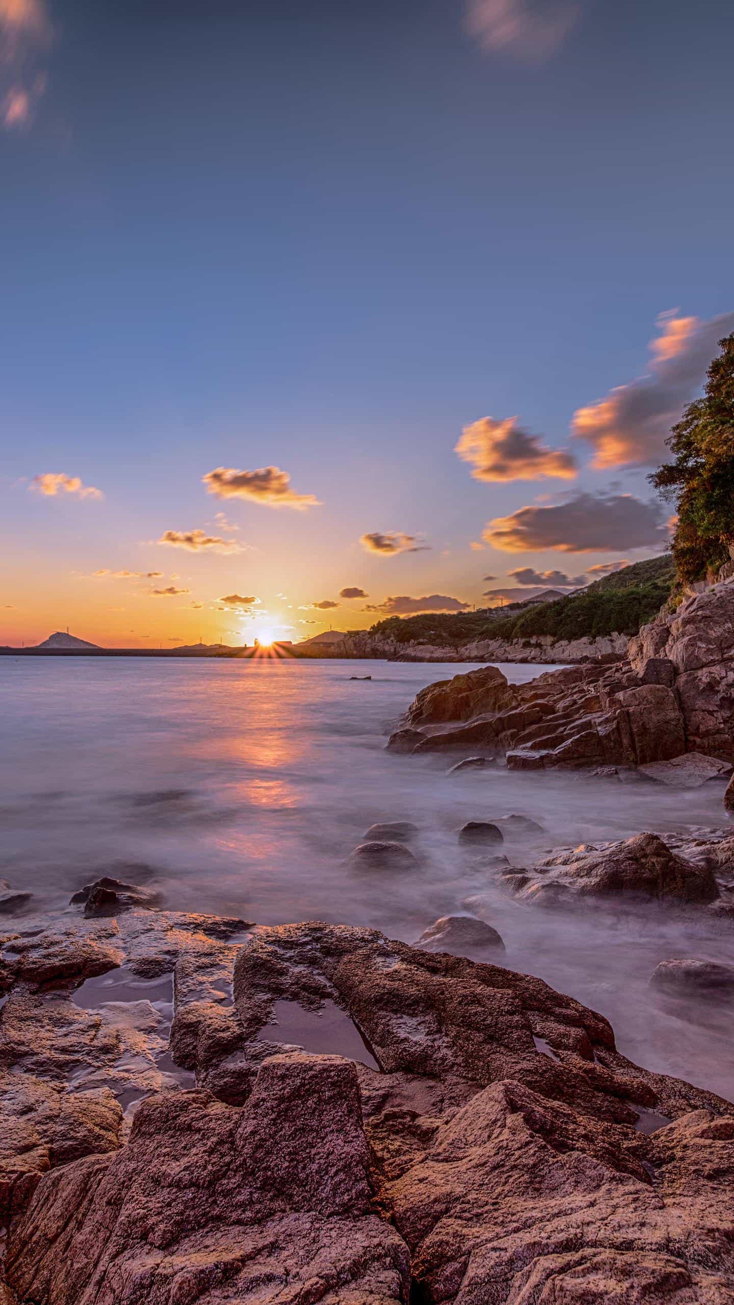 任尔东西南北风,我自岿然不动!