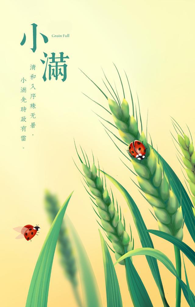 小满小满,小麦渐满,本月跑赢大盘,收货也算饱满.