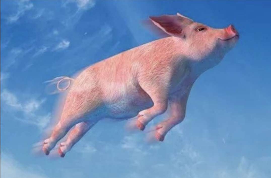 华银电力(600744)股吧_东方财富网股吧