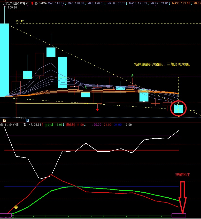 3张图_中红医疗(300981)股吧_东方财富网股吧