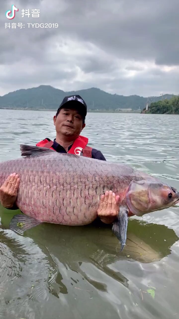 81.买的,乖乖让你4块钱