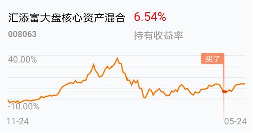 汇添富大盘核心资产混合(of008063)股吧_东方财富网股吧