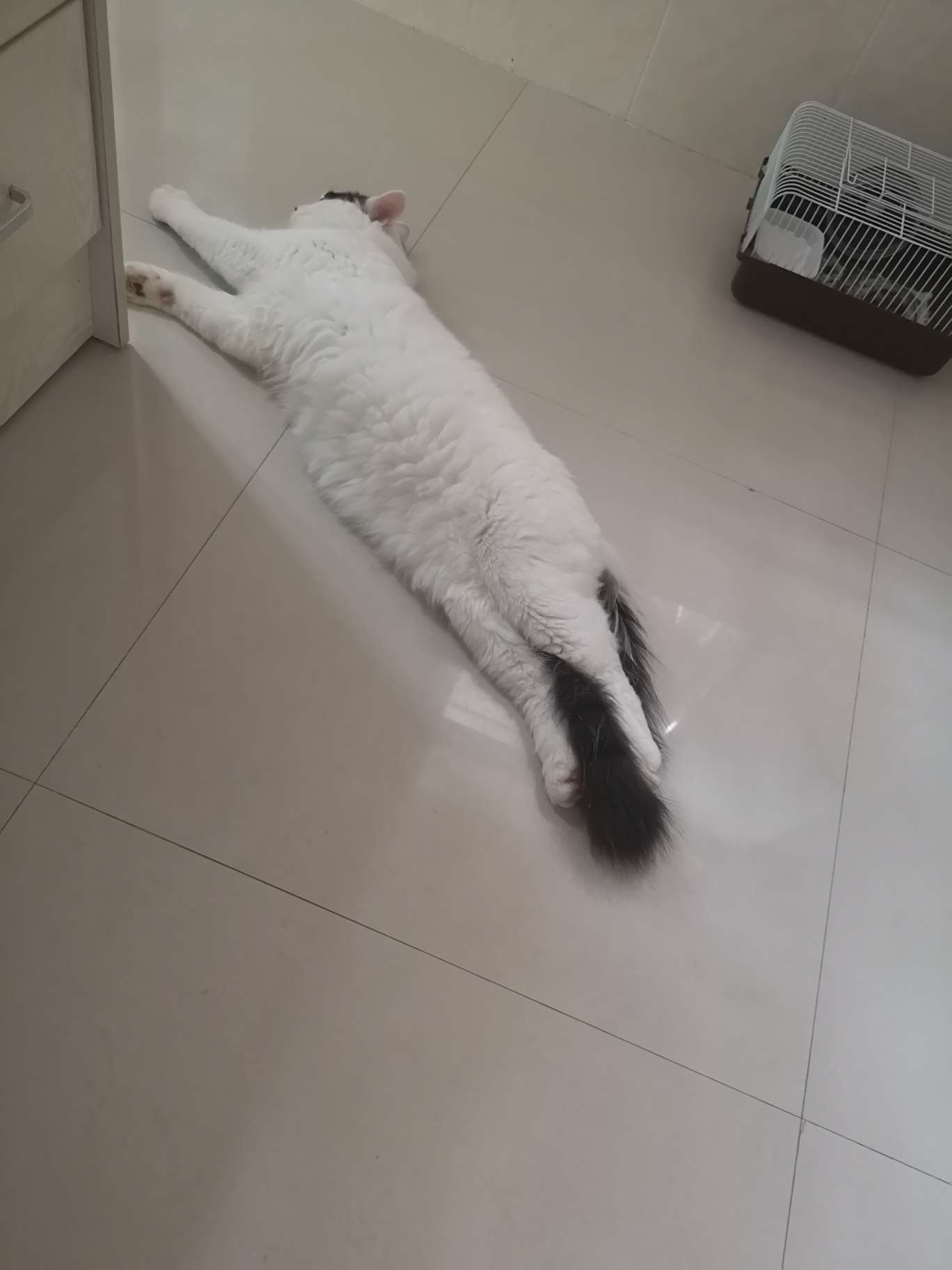 我躺好了,快带我飞