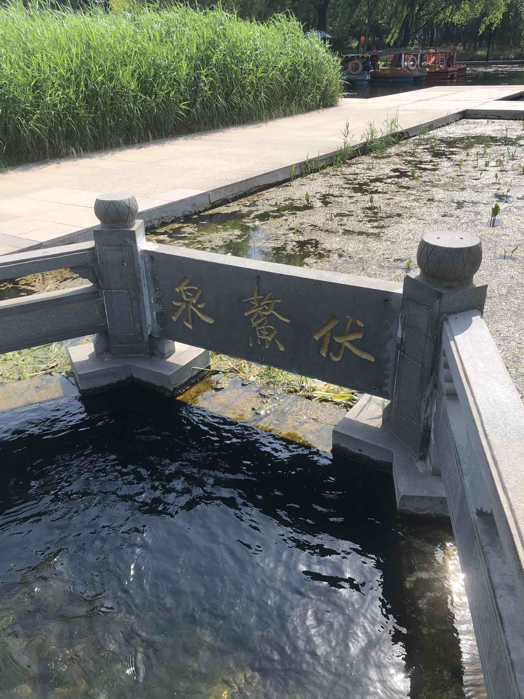 章丘眼明泉有点类似济南市区的黑虎泉,免费游玩还能接水,一天到晚都是