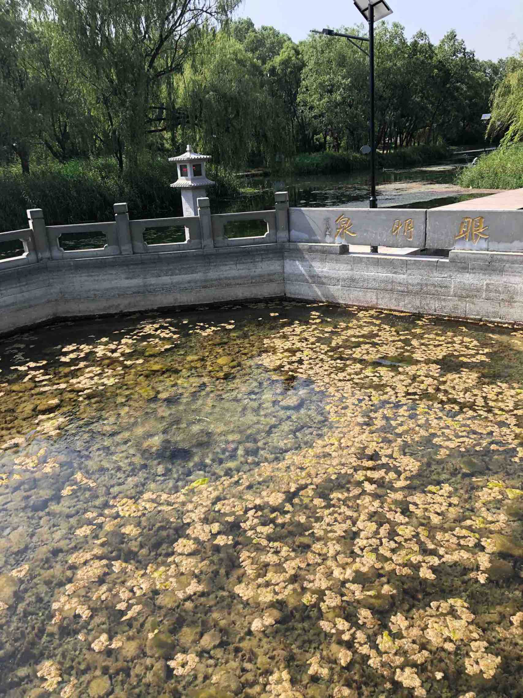 章丘眼明泉有点类似济南市区的黑虎泉,免费游玩还能接水,一天到晚都是