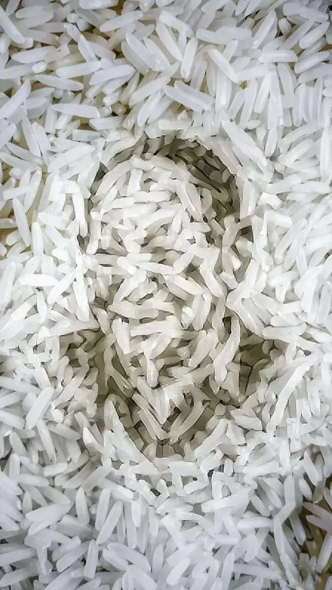 网友用大米粒摆出袁隆平院士的形象,完美诠释了袁隆平和稻谷紧紧捆绑