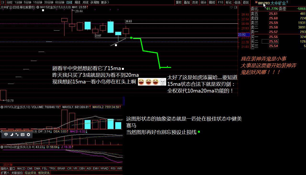 大中路線iv_大中礦業(001203)股吧_東方財富網股吧