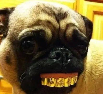 说多了没意思,直接上图_st金正(002470)股吧_东方财富网股吧