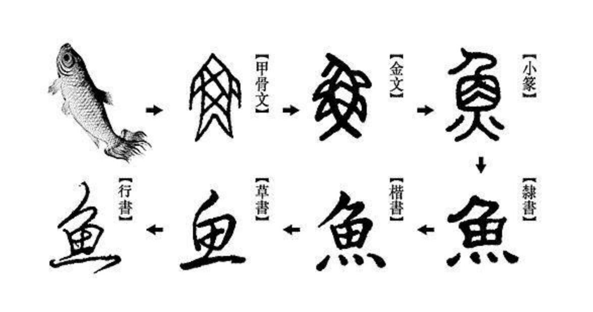 鱼字金文