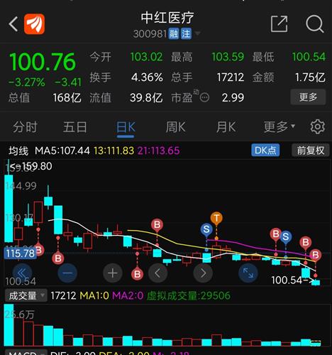 创新低老子加杠杆的补_中红医疗(300981)股吧_东方财富网股吧