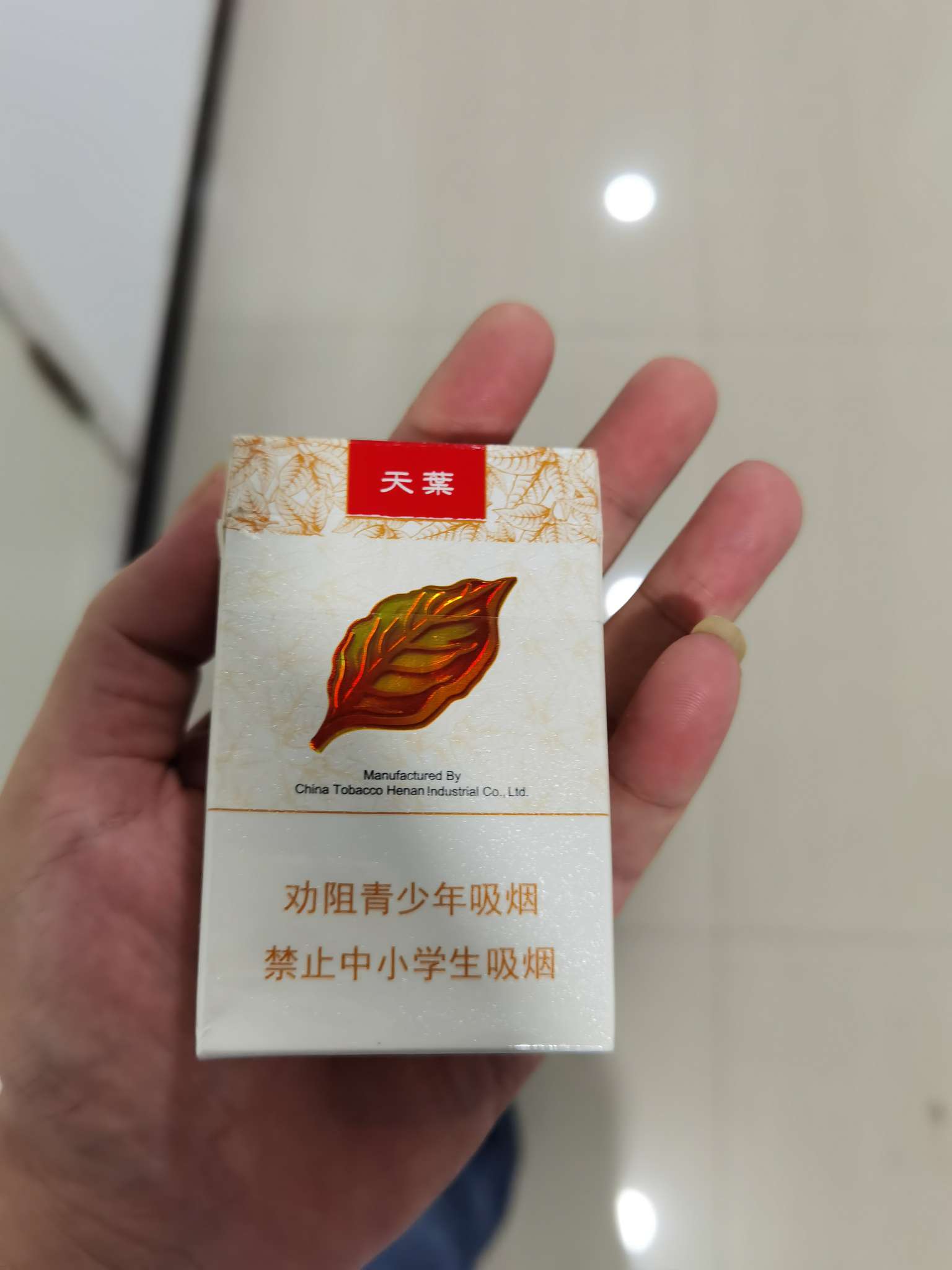 天叶照片图片