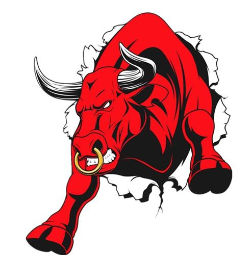 上阵表演了一群的st们10几连板地搞你也该好好地证明下自己华讯野牛冲