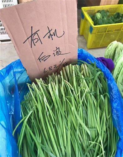 响应房住不炒又重回股市加仓加仓股市没有房市稳赢不想做韭菜每天看盘