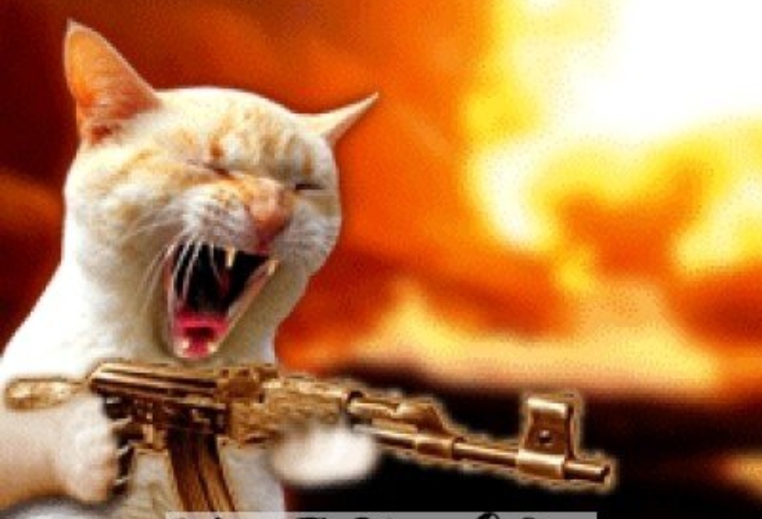 突突突突突突突突突突.