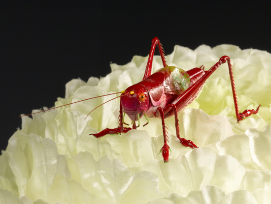 大蝈蝈操盘不讲股德,我要说得太明它就不干了_复星医药(600196)股吧