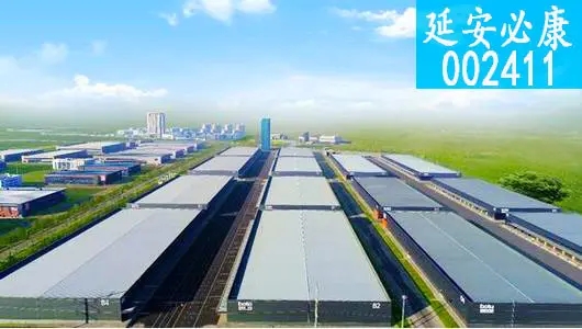 *st必康(002411)股吧_东方财富网股吧