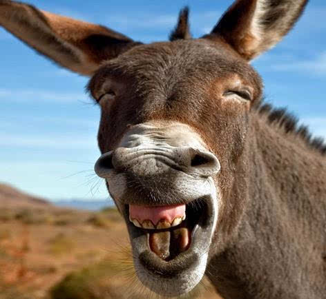 明天3470准备抄底了大笑大笑大笑大笑大笑大笑大笑