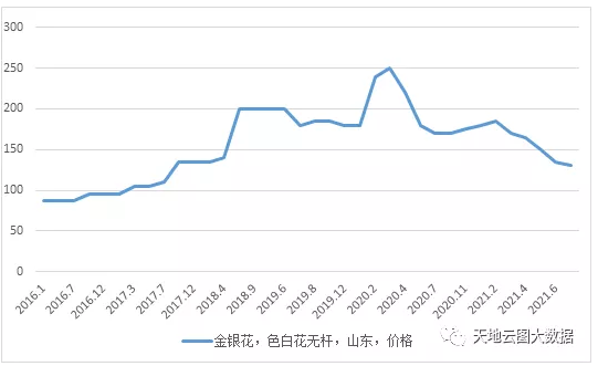 金银花产新产量逐年增大 价格面临继续下跌风险