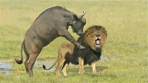 周五我买了一些下周一要是涨了我挨个把说一定跌的个遍