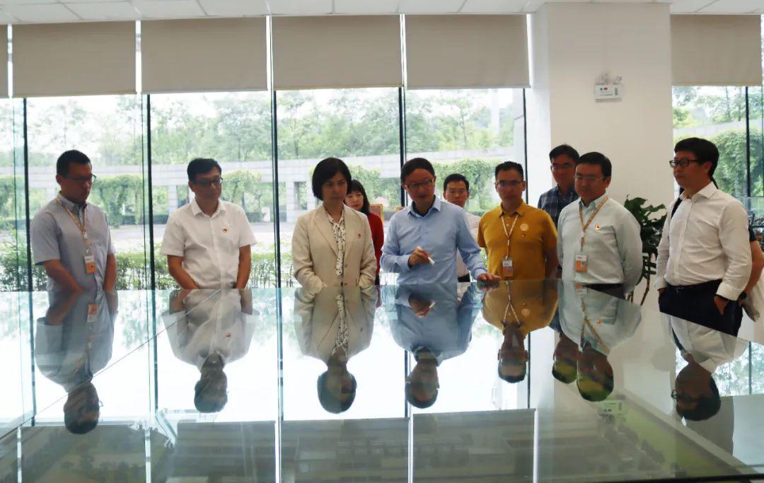 中国华润党委副书记董事马璐调研华润微电子重庆园区