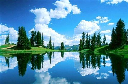 7月12号周一早7点30分,奥特佳吧里一锅粥了,很多人认为降准是好事