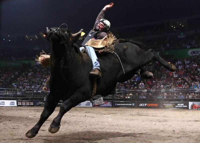 海源这头疯牛一直没能把我摔下来,我很看好它!