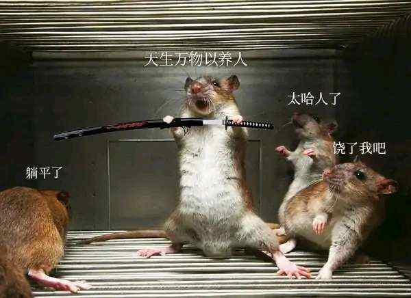 今天散户纷纷割肉洗盘目的已经达到盘后评论区的帖子都