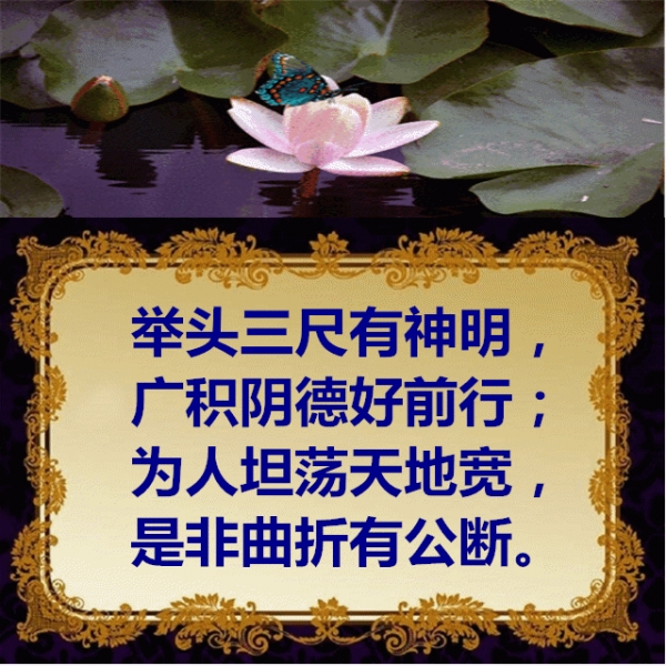 诸魔投资的那几个母的托