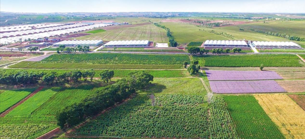 蒙草生态看上去很美